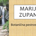MARIJA ZUPANC-1